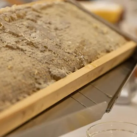 Sky Pool Sole Ξενοδοχείο 4*